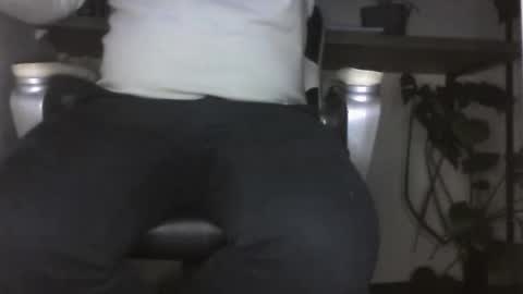 likeinpublic online show from 01.11.26