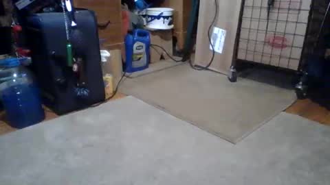 lildman420 online show from 03.14.26