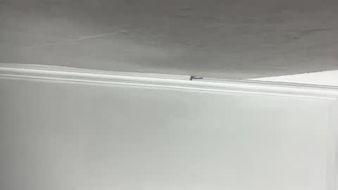 Lilith  online show from 11.11.25