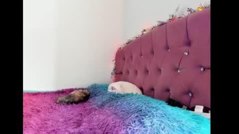 Lilith online show from 02.08.25