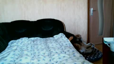 Lenkaa777 online show from 04.01.26