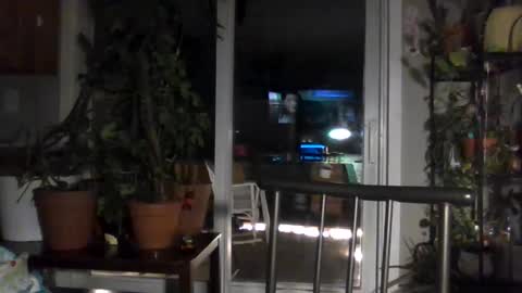 Lexy online show from 11.09.25