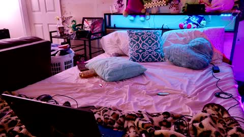 Snapshot of liltrannyslut chatting on 01.25.25 jasmine spunn online show from 01.25.25