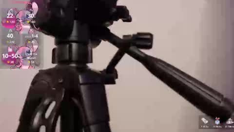 Snapshot of lily_beet chatting on 11.07.25 Lily online show from 11.07.25