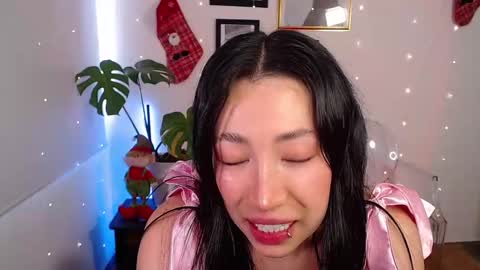 just lily online show from 12.14.24