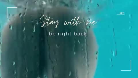 Lily online show from 12.19.25