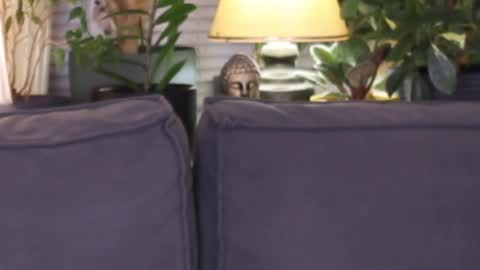 Snapshot of lilyminx chatting on 11.13.25 -- My Wishlist online show from 11.13.25