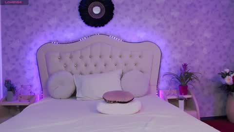      online show from 01.12.25