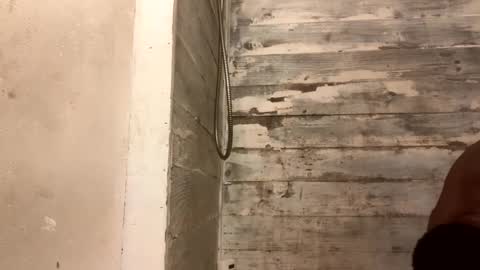 Richie Rich online show from 12.07.24