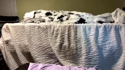 Richie Rich online show from 12.13.24