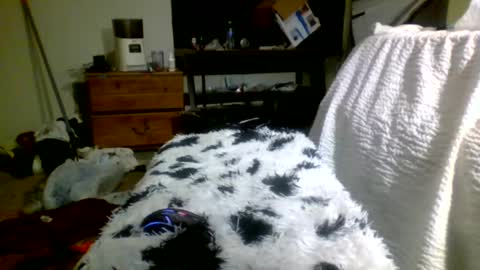 Richie Rich online show from 12.30.24