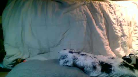 Richie Rich online show from 01.13.25