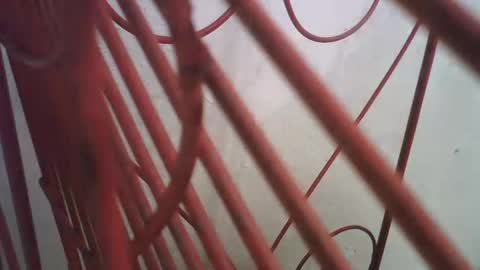 Richie Rich online show from 10.11.25