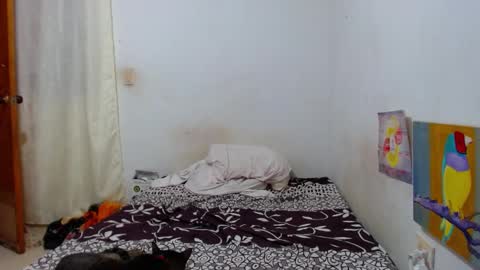 lion_grr online show from 12.16.25