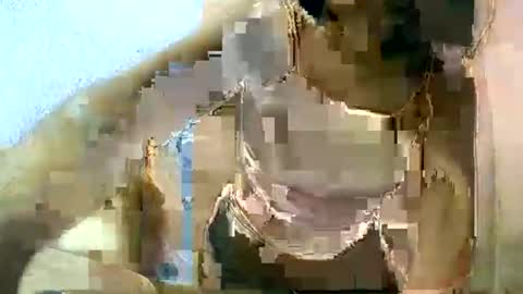 Snapshot of liora_selene chatting on 03.11.25 liora online show from 03.11.25