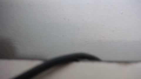 lisa_branch online show from 09.20.25