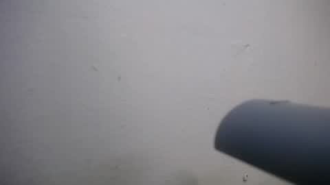 lisa_branch online show from 11.04.25