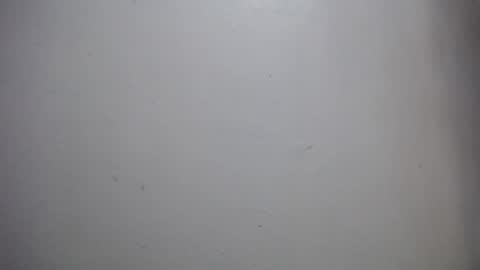 lisa_branch online show from 12.14.25