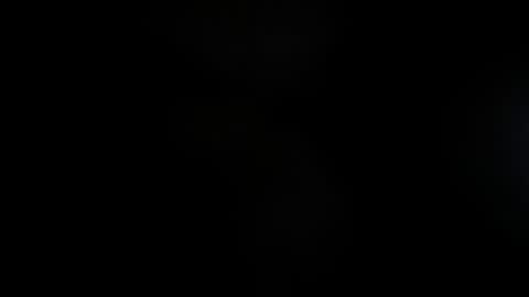 Snapshot of lisa_gerrard_ chatting on 11.23.25 Lisa online show from 11.23.25