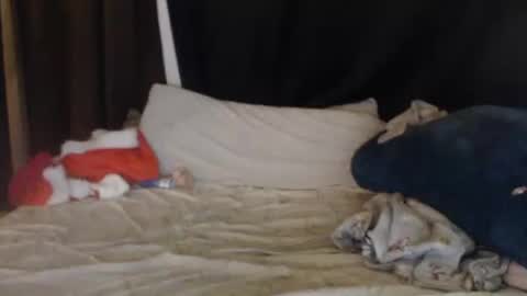 Lisa Tyler online show from 12.27.24