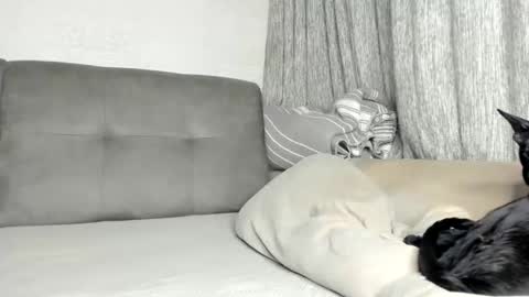 my Instagram  online show from 02.21.26