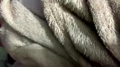 Snapshot of little_sissy_wendy chatting on 02.28.25 little_sissy_wendy online show from 02.28.25