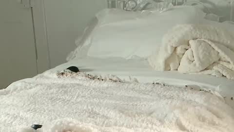 Snapshot of littlegreekflower chatting on 02.01.25 Audra A online show from 02.01.25