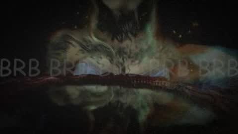 Niki  free tg channel with some photos gifs and info about streams  online show from 02.02.25