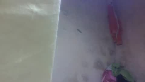 yanah online show from 09.11.25