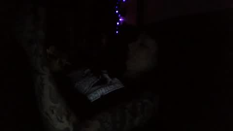 Liv Mirage online show from 11.05.25