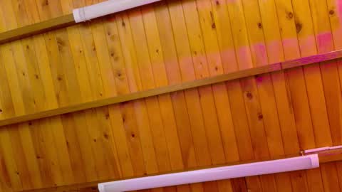  LIZBETH ROSS  online show from 01.12.26