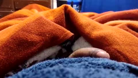 Snapshot of loganncky chatting on 03.05.26 loganncky online show from 03.05.26