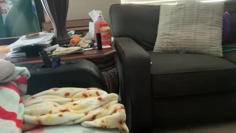 logical12345 online show from 11.18.25