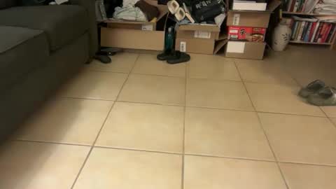 logical12345 online show from 01.19.26