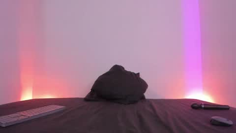 Lola online show from 01.05.25