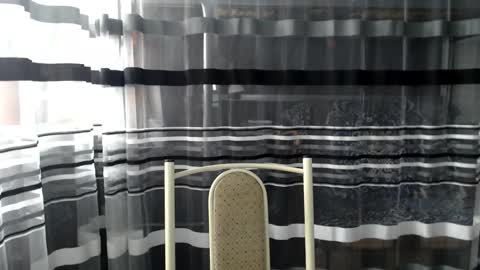 Lisa online show from 10.05.25