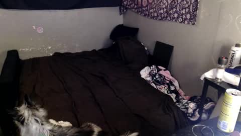 londonray online show from 03.08.26