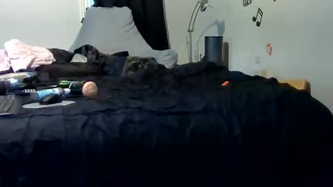 Snapshot of lonelydick2222 chatting on 05.25.26 lonelydick2222 online show from 05.25.26