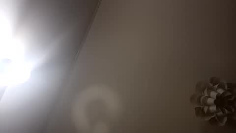 Snapshot of loraflame chatting on 01.05.25 Lora online show from 01.05.25