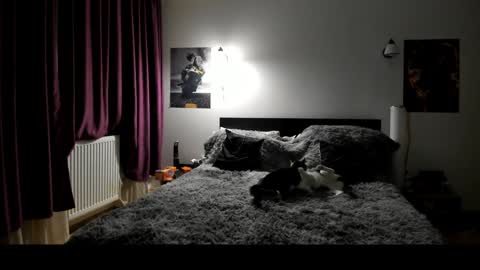 Snapshot of loraflame chatting on 01.08.25 Lora online show from 01.08.25