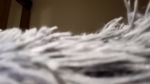 Snapshot of loraflame chatting on 01.15.25 Lora online show from 01.15.25