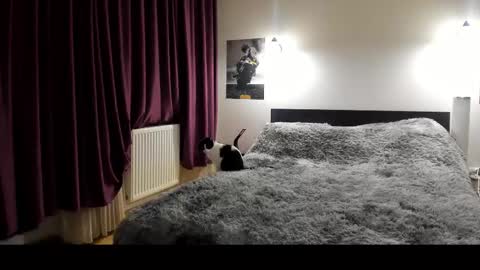 Snapshot of loraflame chatting on 02.21.25 Lora online show from 02.21.25