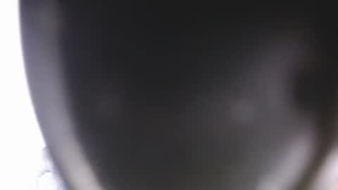 lorexxw online show from 07.09.26