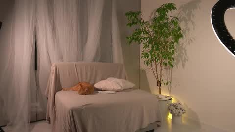 Lorrie online show from 11.24.25