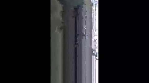 lotusbloom5 online show from 04.16.26