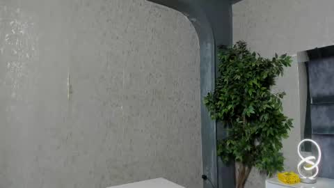 Louis online show from 12.20.25