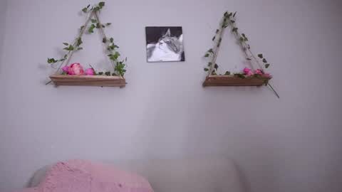 katalina   online show from 03.02.25