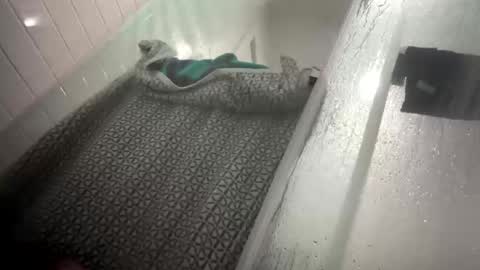 Snapshot of lovefeetonmyface29 chatting on 09.22.25 lovefeetonmyface29 online show from 09.22.25