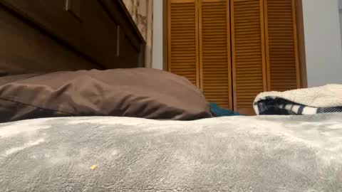 Amber online show from 02.12.25