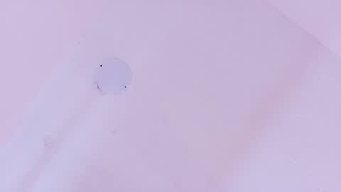 L O V E  online show from 03.11.26